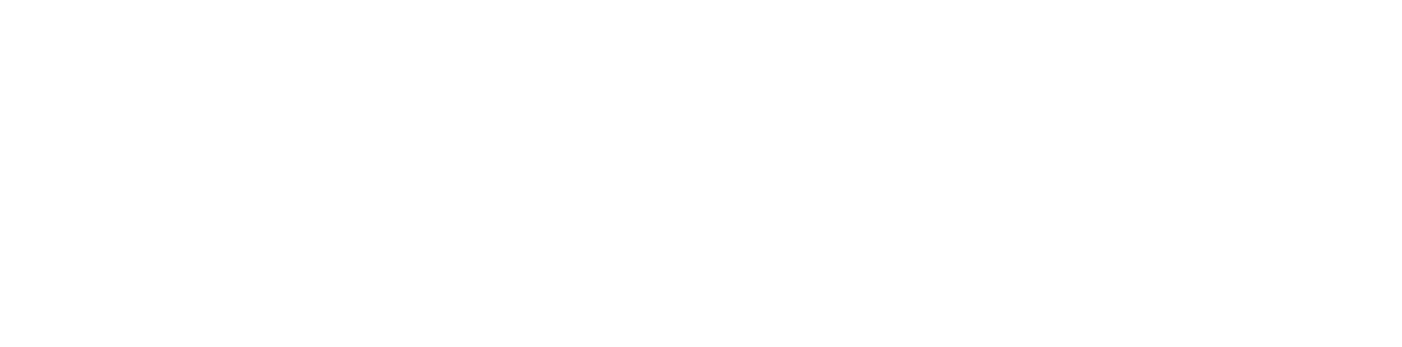 plan9 Logo 2021
